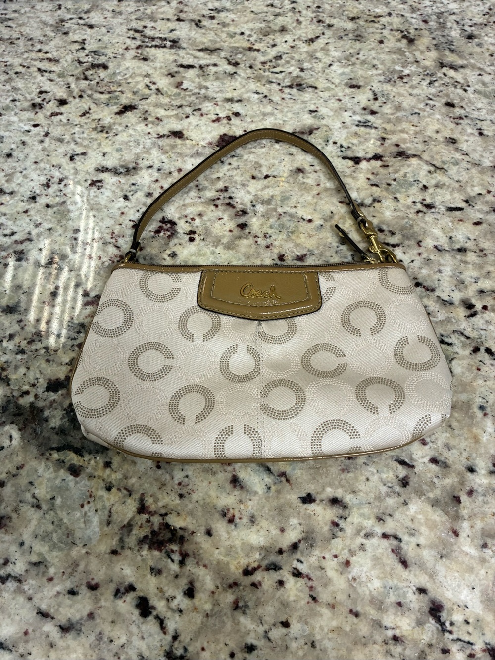 Coach Ashley Dotted Op Art Signature Large Wristlet in khaki and taupe